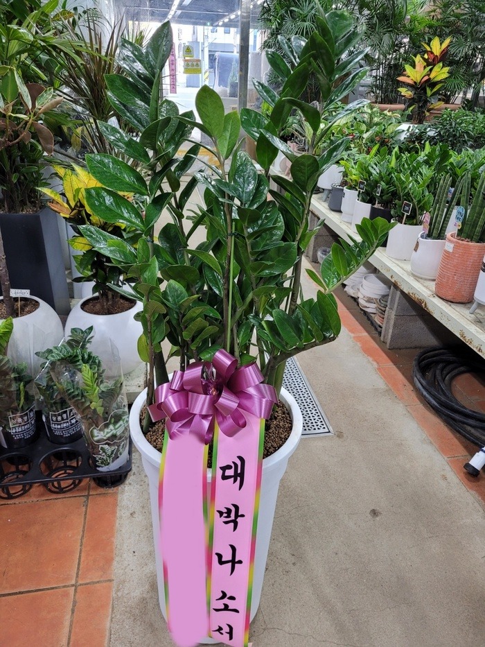 ����ȭ�� ������