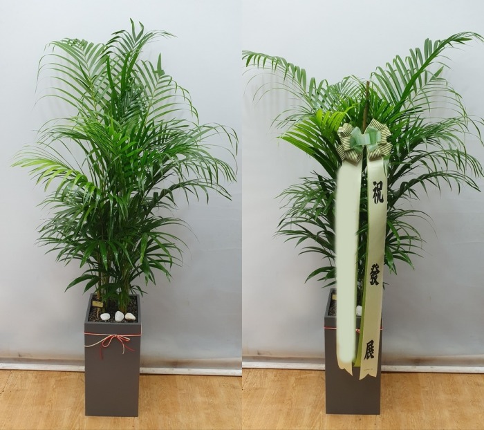 ����ȭ�� �Ʒ�ī����