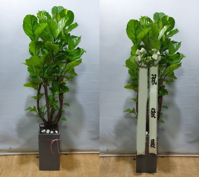 ����ȭ�� ������������