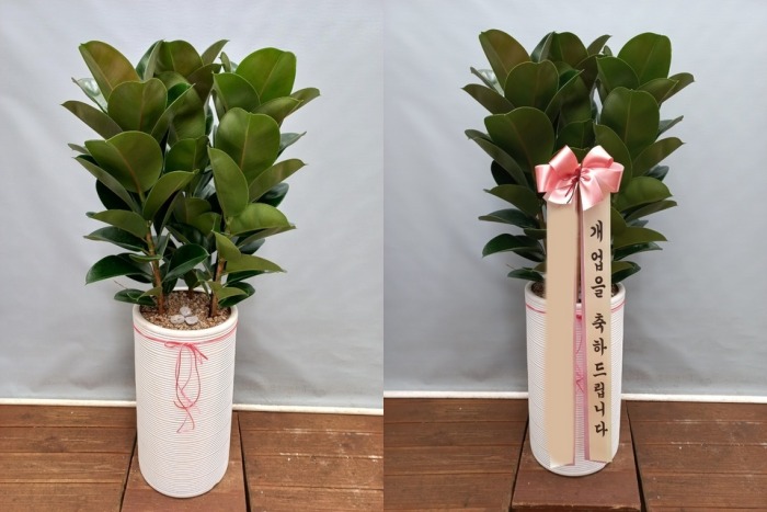 ����ȭ�� ��������