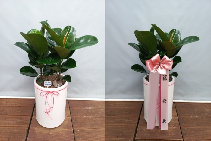 ����ȭ�� ��������