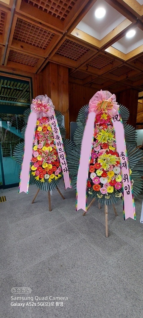 ����3��ȭȯ