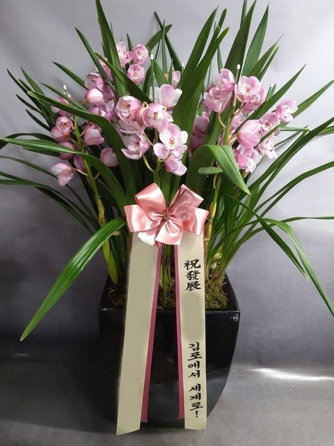 ����� �ɺ���