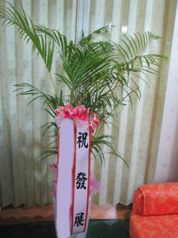 ����ȭ�� �Ʒ�ī����