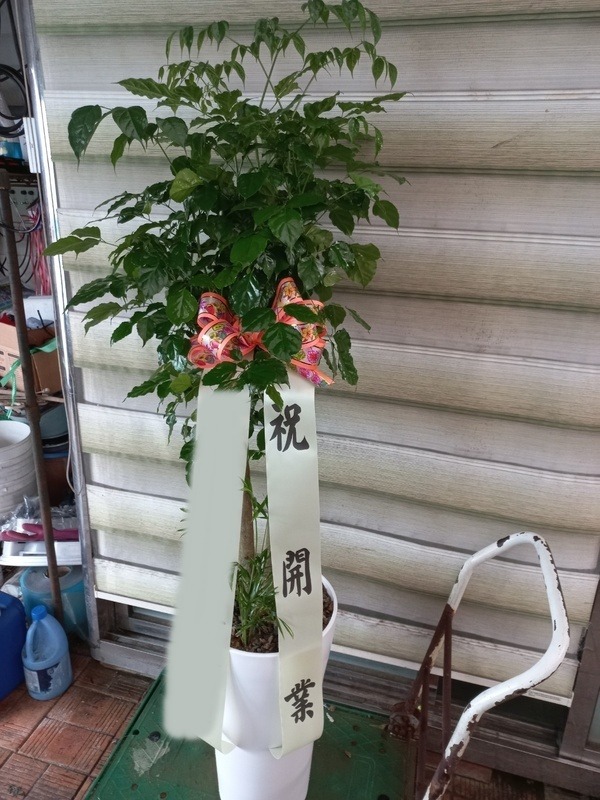 ����ȭ�� �캸��