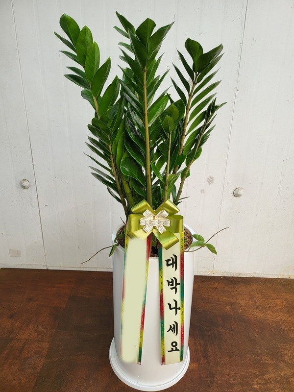 ����ȭ�� ������