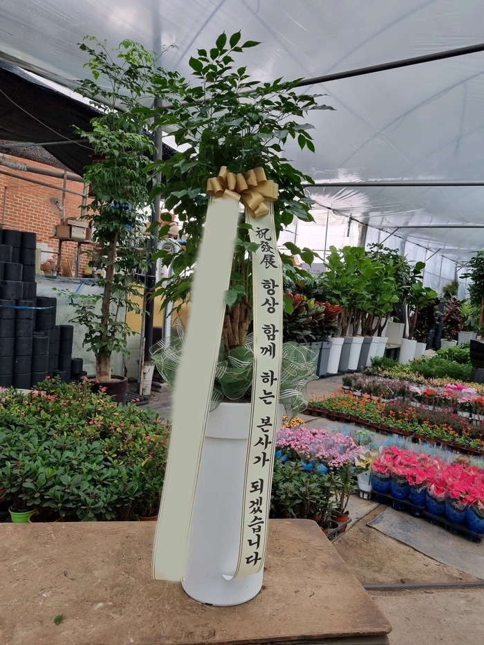 ����ȭ�� �캸��