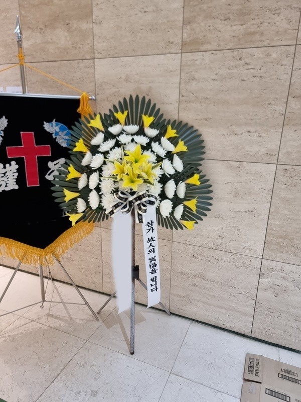 ����������ȭȯ