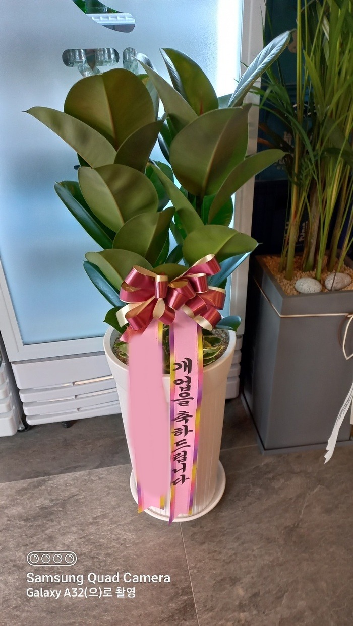 ����ȭ�� ��������