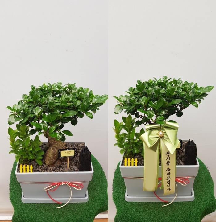 ���� �λ����