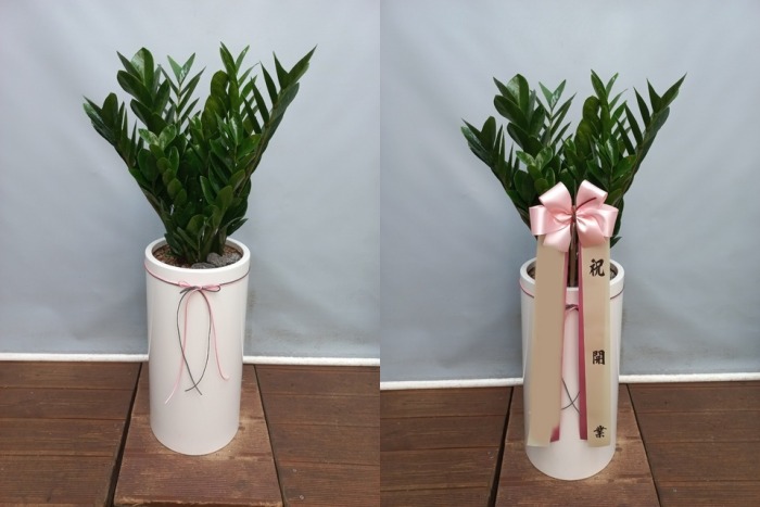 ����ȭ�� ������