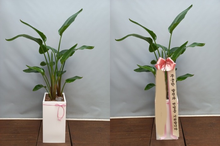 ����ȭ�� �ض���