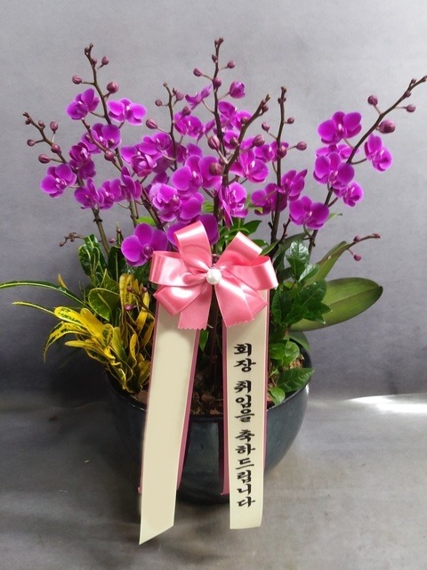 ����� ��õȫ