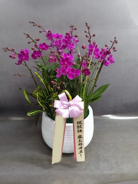 ����� ��õȫ