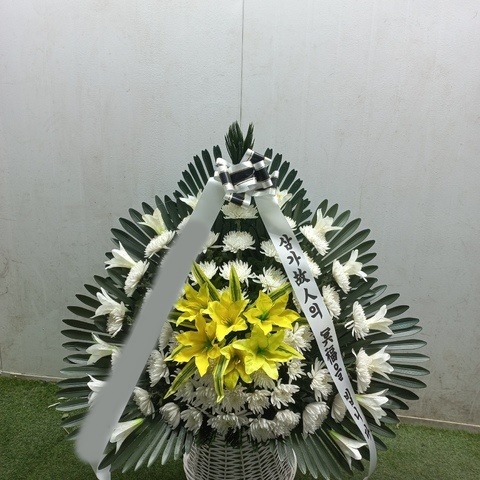 ����ٱ���