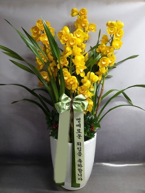 ����� �ɺ���