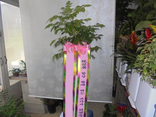 ����ȭ�� �캸��