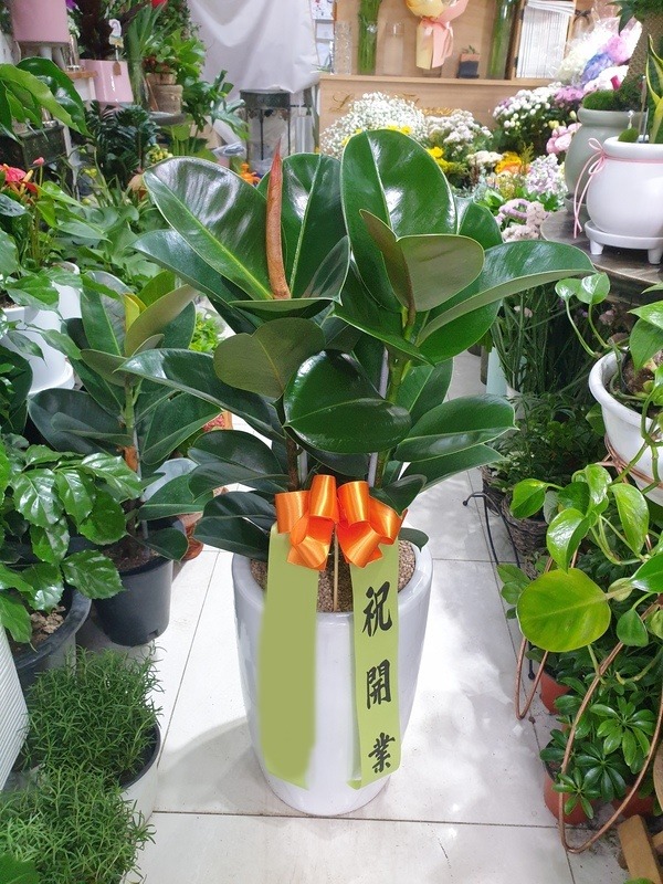 ����ȭ�� ��������