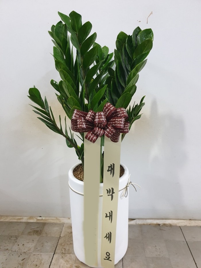 ����ȭ�� ������