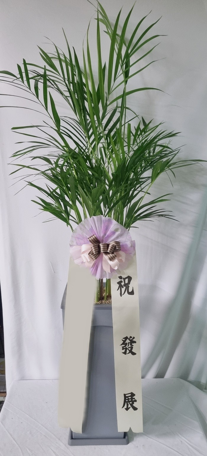 ����ȭ�� �Ʒ�ī����