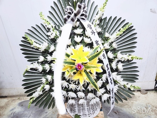 ����ٱ���