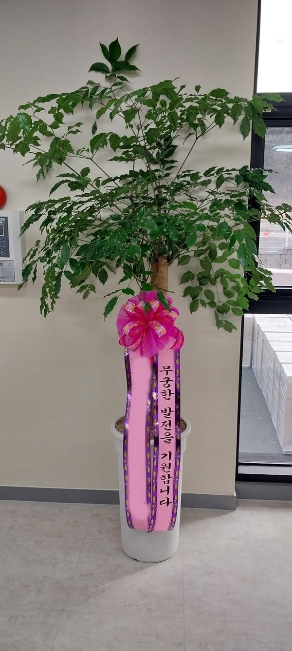 ����ȭ�� ����Ʈ��