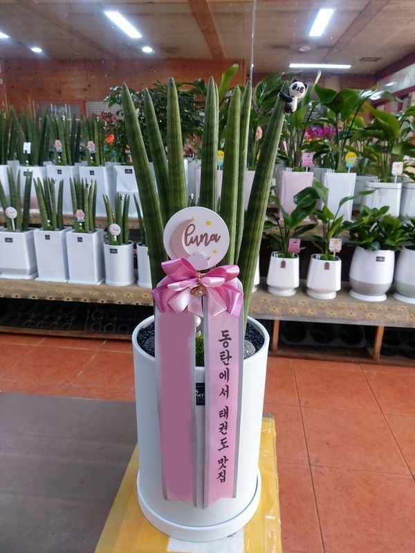 ����ȭ�� ����Ű Ź���