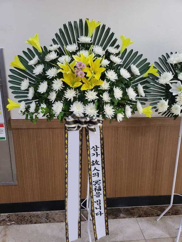 ����������ȭȯ