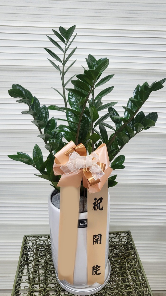 ����ȭ�� ������