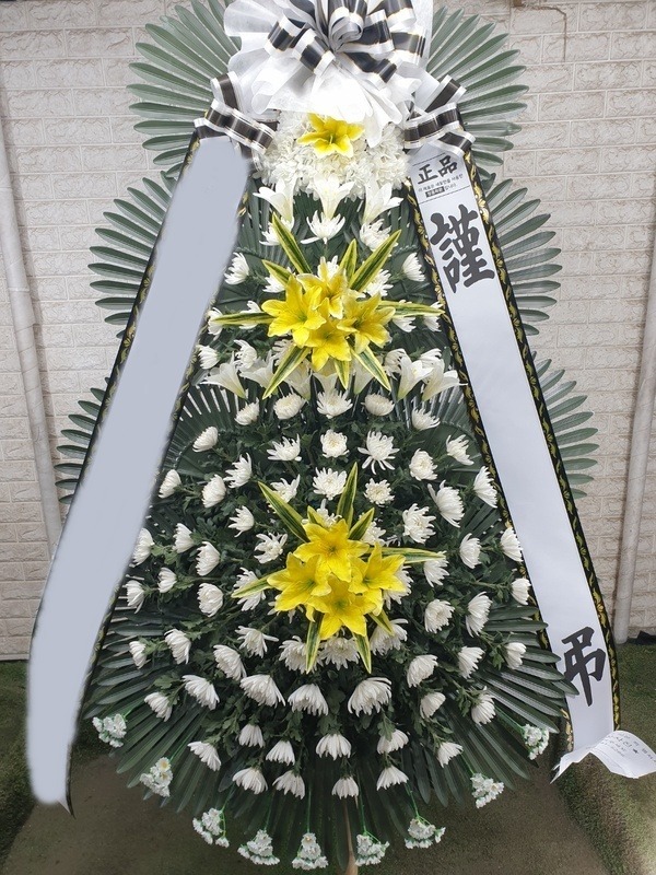 ����3��ȭȯ ��Ư��