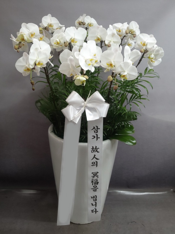 ����� ��ʽ��� ��ȣ��