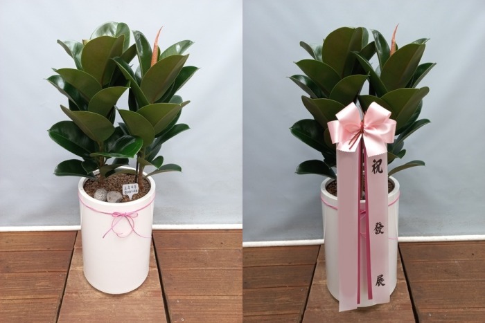 ����ȭ�� ��������