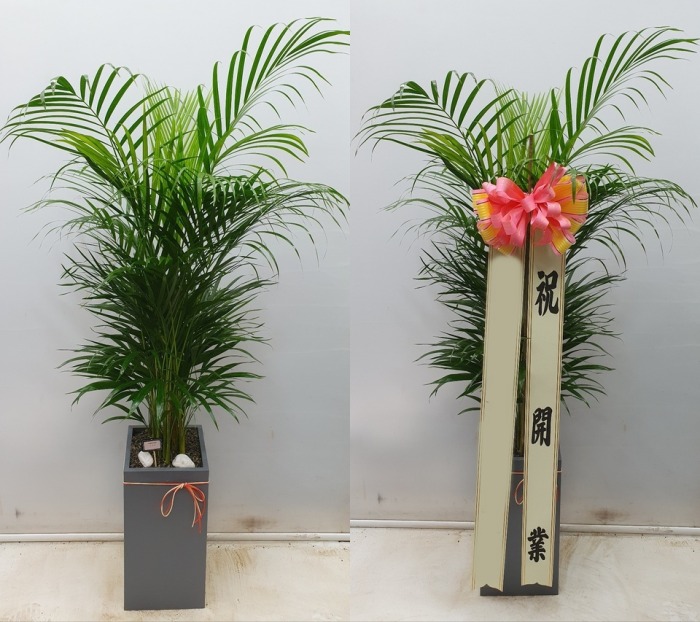 ����ȭ�� �Ʒ�ī����