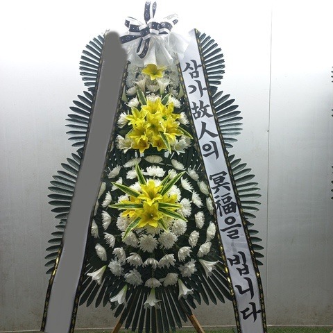 ����3��ȭȯ