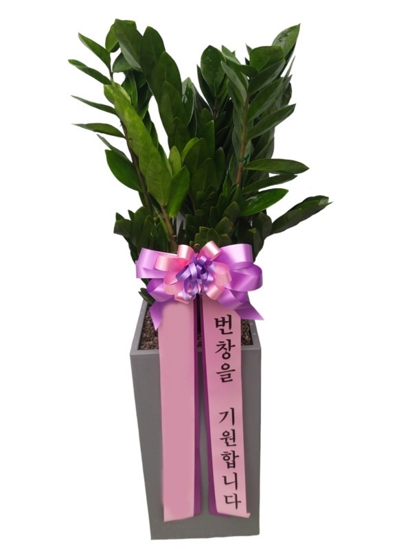 ����ȭ�� ������