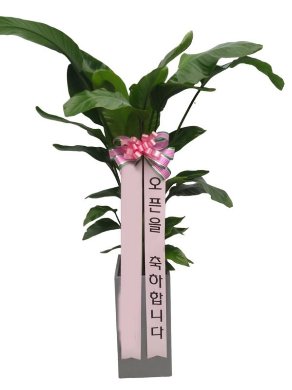 ����ȭ�� �ض���