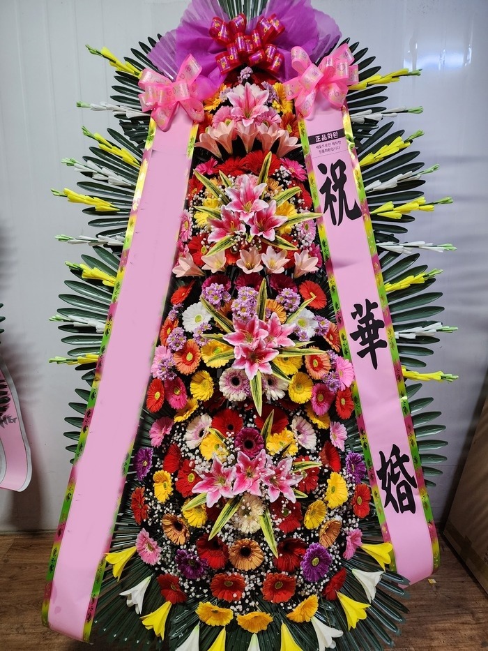 ����4��ȭȯ