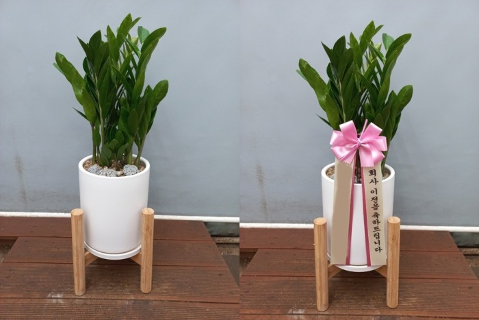 ����ȭ�� ������ Ź���