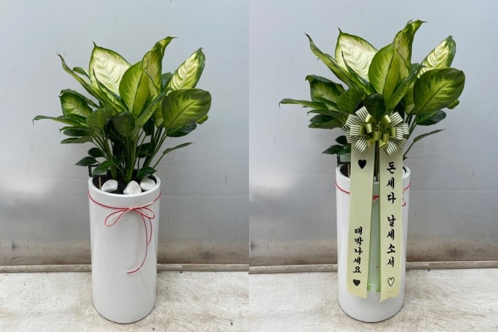 ����ȭ�� �����ȴ�