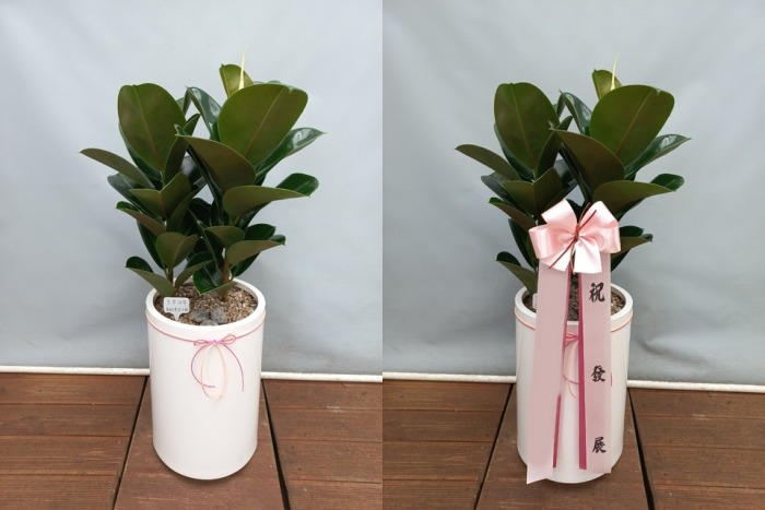 ����ȭ�� ��������