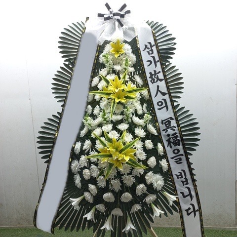 ����3��ȭȯ