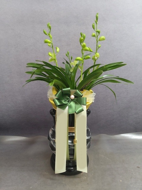 ����� ������