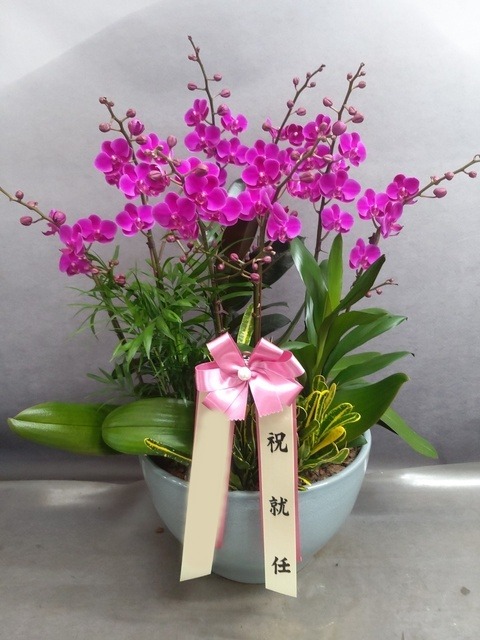 ����� ��õȫ