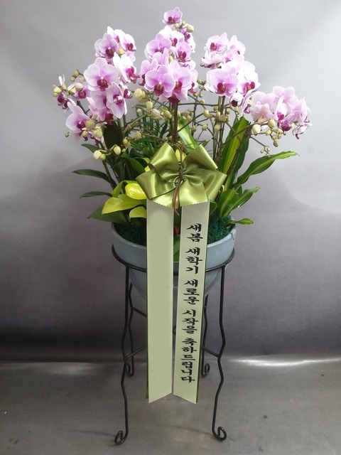 ����� ö�� ������