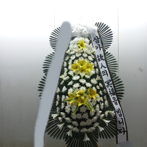 ����3��ȭȯ