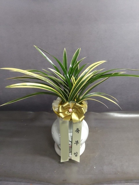 ����� ����