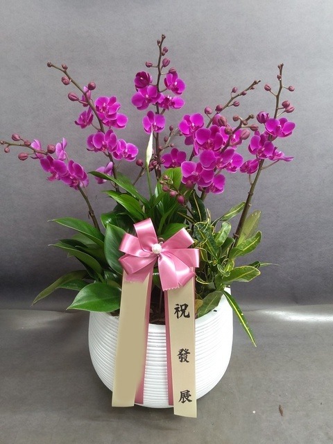 ����� ��õȫ