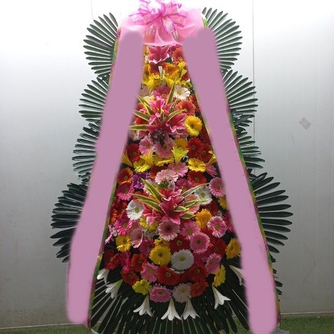 ����3��ȭȯ