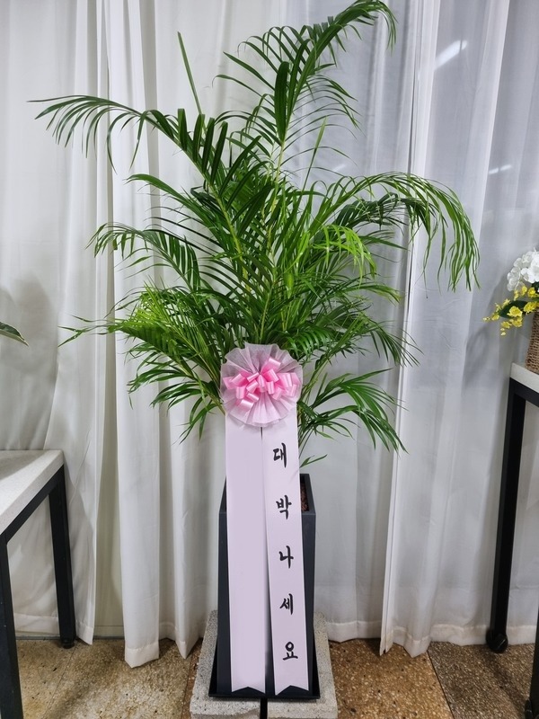 ����ȭ�� �Ʒ�ī����