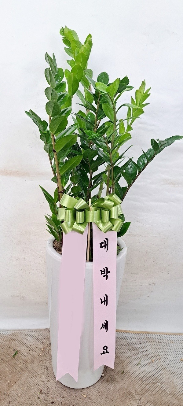 ����ȭ�� ������